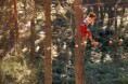 /album/fotogaleria/parque-de-aventuras-en-madrid-jpg1/
